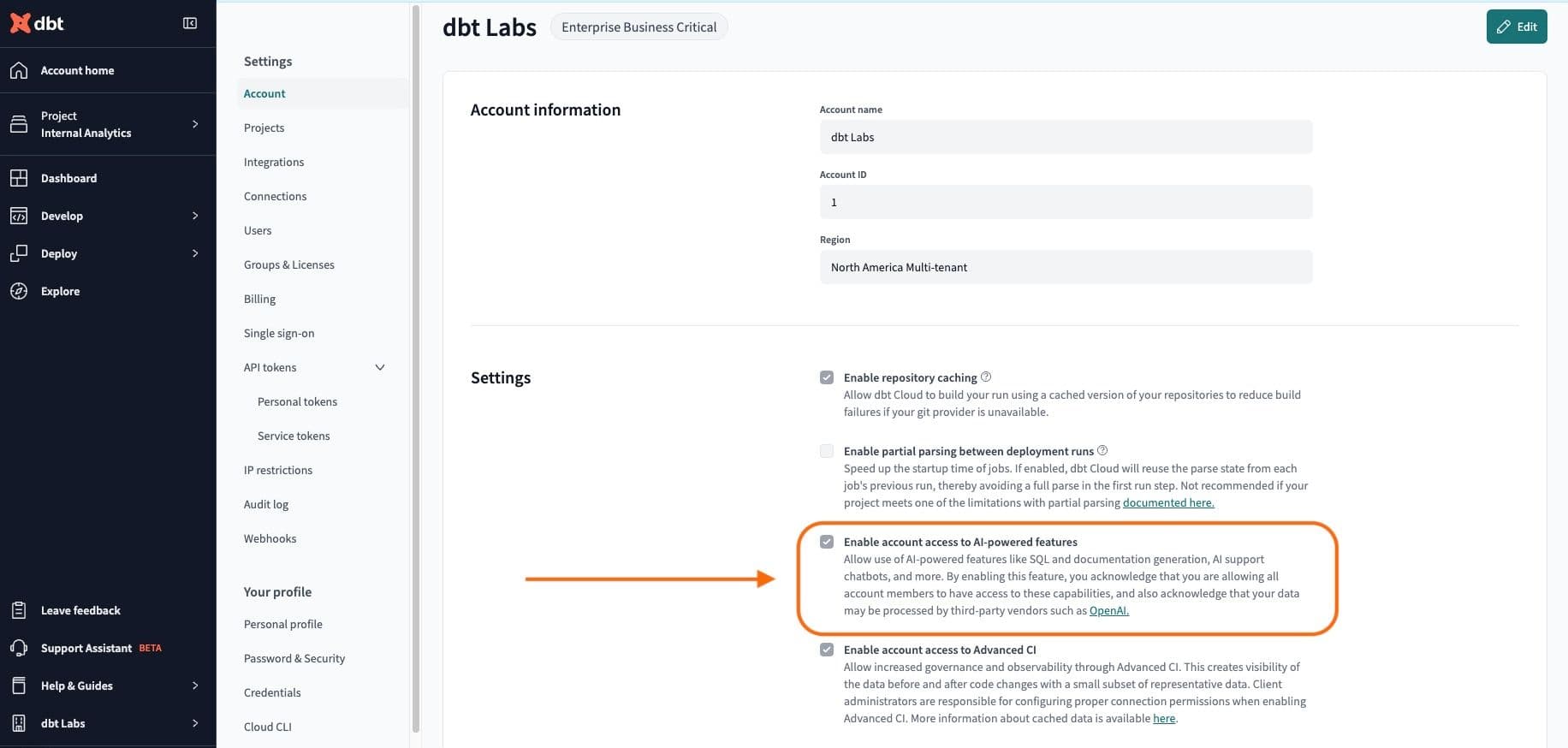 AI Cloud settings in dbt Cloud